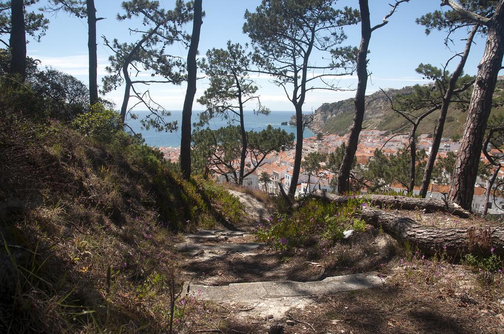 Gaivota Holidays Nazare Ngoại thất bức ảnh